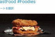【画像】KFC、フライドチキンで具をで挟んだ暴力的すぎるハンバーガーを発売