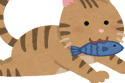 猫に刺身あげてたらカリカリ食わなくなったんだけど・・・