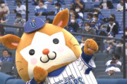 横浜DeNAベイスターズの魅力で打線組んだ
