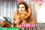デヴィ夫人「犬猫保護！！」→イタチ70匹を殺した毛皮のコートを着ていたと判明