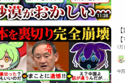 【なにこれ…】ずんだもん界隈、特定の勢力のせいで終わる‥‥同じ動画ばっかりじゃん?