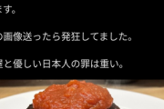 【悲報】イタリア人さん、松屋のハンバーグに脳を焼かれてしまうｗｗｗｗ