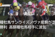 新種牡馬サンライズノヴァ産駒が芝で勝利 高額種牡馬相手に波乱