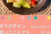 【俺の方がマシ】本田翼が作った飯ｗｗｗｗｗｗｗｗｗｗｗｗｗｗｗ