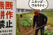 河川敷でヤミ畑横行「日本語わからない」外国人の姿も... 行政代執行に大きな壁