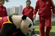 中国人「サッカー日本代表MFのプレーがすごい。こんなアジア人がいるとは」　中国人「イングランドも怖がる」「本当に真面目でプロ意識が高い」