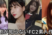 【悲報】FC2動画投稿者大量検挙wwwww
