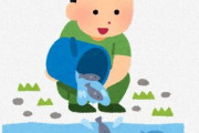 研究者「魚を放流すると魚が減る」　SNSで話題に　「無駄どころか逆効果？」「びっくり」