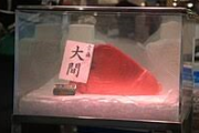 【画像】大間マグロ高すぎｗｗｗｗｗｗｗｗｗｗｗｗｗｗｗｗｗｗｗｗｗｗｗｗｗｗｗｗｗｗｗｗｗｗｗｗｗｗｗｗ