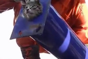 【GIF】悲報　猫さん、パイプに挟まり間抜けな姿を晒してしまう