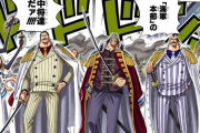 ワンピースの海軍中将とかいう弱い集団ｗｗｗ