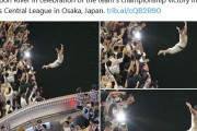ついに阪神Vの道頓堀ダイブが世界に拡散　米大手「ABCニュース」公式X報道、フォロワー1780万人