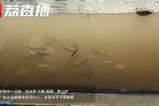 【画像】中国の道路、水族館になるｗｗｗｗｗｗｗｗ