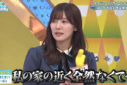 【日向坂46】この適当さはもはや名人芸ｗｗｗｗｗｗｗｗ