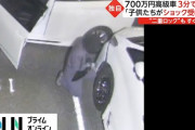 【悲報】車の窃盗、増えまくってる模様‥‥日本の治安大丈夫なん？?