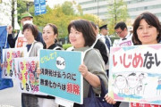 在日朝鮮人「消費税払ってんだから幼稚園無償化しろ。いじめるな！」