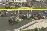 【北海道】＜SNSで物議＞騎手が「馬の顔蹴る」動画！ばんえい競馬「許される行為ではない」と処分へ  [Egg★]