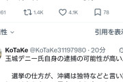 夢から覚めないパヨク界隈　〜　パヨクさん「今回の沖縄県知事選、たぶん相当数のネトウヨ逮捕者が出ると思う」