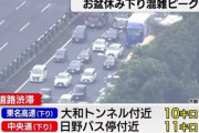 【画像】帰省ラッシュ中の新幹線と高速道路の様子が凄い事になるｗｗｗｗｗｗｗｗｗ