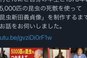 おっさん「昆虫の死骸5000匹を使って兜作ったw」ﾊﾟｼｬｯ