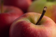 りんごの品種、5つ答えろ！