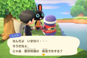 【あつまれどうぶつの森】ジャックがタンタンにお弁当作ってもらって感想聞かれてる話を聞いたんだけど…
