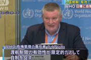 【悲報】WHO「意味のない入国制限だよ」