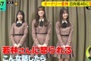 【日向坂46】若林さん、山里さんのMC番組でバラされてしまうw【DayDay.】