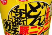 【超画像】日清がラーメン二郎インスパイアどん兵衛「どん兵衛マシマシ篇 ガチ豚ニンニク」を発売