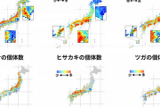 日本の木は２１０億本　ビックデータで推定