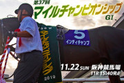 11/22(日)第37回マイルチャンピオンシップ(GⅠ)Part2