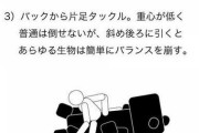 お前ら「カバさん強い！」　ワイ「でも金属バットでフルスイングしたら死ぬよね」