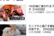 【悲報】100日後に食われる豚、逝くWWWWWWWWWWWWWWWWWWWWWW