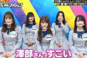 【日向坂46】ハライチ澤部さん、かとしに興味ないと思われていたw