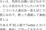 【悲報】30人程のバチャ豚、秩序を保つために通報して回っていたｗｗｗｗ
