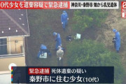 【悲報】　赤ちゃんを畑に埋めた10代少女を逮捕・・・