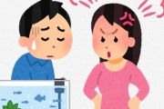 ワイ「60センチ水槽で日本淡水魚飼いたい」ヨッメ「だめー」