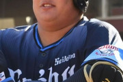 西武渡部健人（大卒2年目ドラ１、176cm113kg）　１軍出場なし　２軍80試合.191 10 28