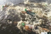 韓国人「東京オリンピックの思い出…」水質は東京とパリのどちらが優れているのでしょうか？」→「日本はガンジス川かよ」　韓国の反応