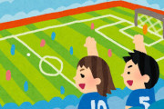 ぶっちゃけW杯の時だけサッカー見て知った気になってる奴腹立つよな？