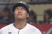 【悲報】西武蛭間、昼間しか打てない