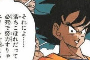 日本が堕落したのってドラゴンボールのせいだよな