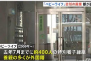 日本人400人の赤ちゃんが人身売買された　養子の親は全員外国人　1人300万円