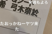 【乃木坂46】アルピー酒井『弓木奈於、またおっかねーヤツ来た・・・』