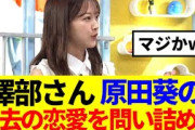 【ぽかぽか】澤部、櫻坂時代の原田葵の恋愛事情を問い詰めるwww