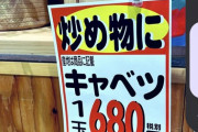 【悲報】キャベツの価格、一線を超える