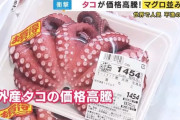 【悲報】タコの値段高騰で、遂にマグロを抜いてしまう