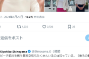 蓮舫支持者「渋谷へ行けば会える蓮舫さん。八丈島まで行かなければ会えない小池さん」
