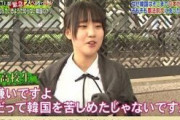 韓国人「日本は捏造の国」日本には「嘘も100回言えば真実になる」、「正直者は馬鹿を見る」という諺がある　韓国の反応