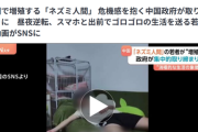 【悲報】中国、「ネズミ人間」が大繁殖して社会問題になるｗｗｗｗｗ